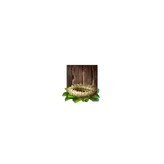 Nid de Pirots X